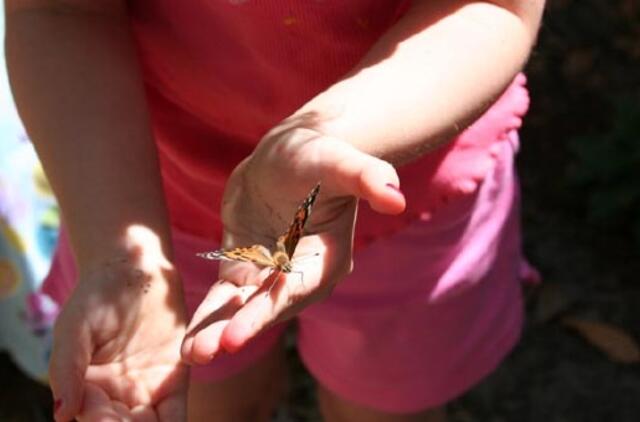 Apie nematomus draugus