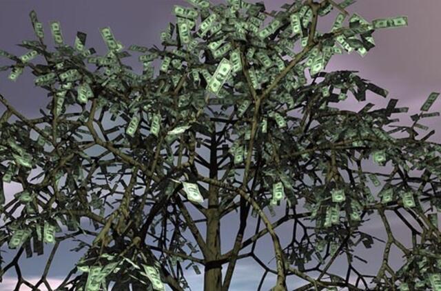 Kaip išlikti viršuje pinigų krizės metu?