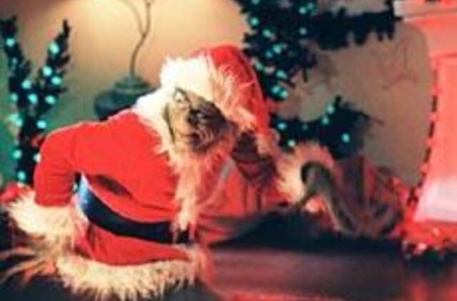 Kas pavogė Kalėdų stebuklą?