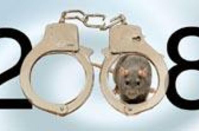 Žiurkė negailėjo istorijų penktajam puslapiui