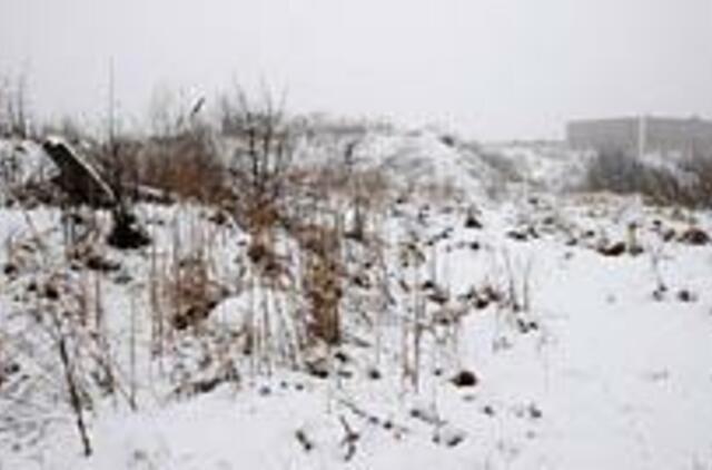 Ko trūksta, kad būtų tvarka?