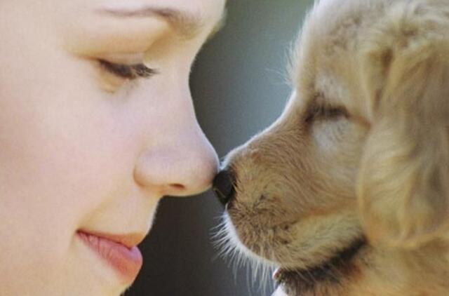 Šuo - šeimos santykių indikatorius