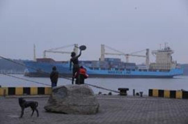 Tokio konteinerių mažėjimo neprognozuota