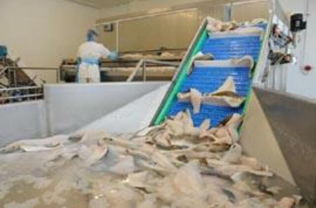 Kodėl italai valgo Baltijos menkės filė, o lietuviai - ne?