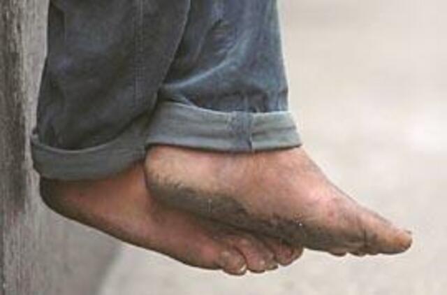 Iš direkcijos - basomis