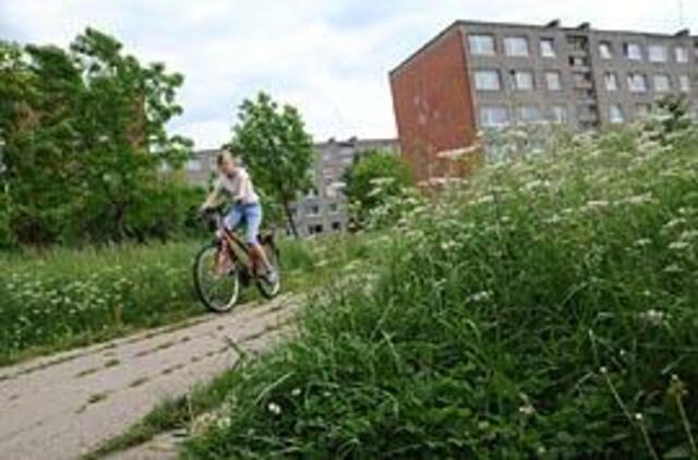 Klaipėda virsta džiunglėmis