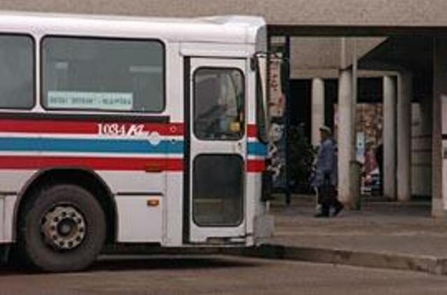 Kalti ne vien "zuikiai"