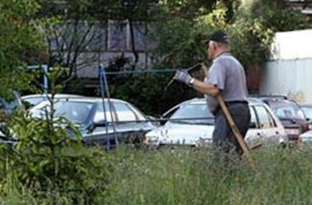 Dalgiai neatlaikė apleistų žolynų