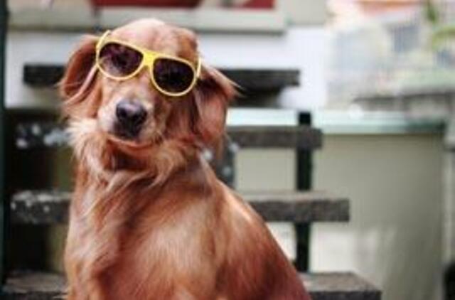 Akiniams nuo saulės - nauji ženklinimo reikalavimai