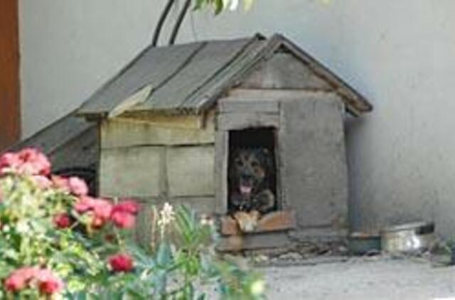 Gyventojai kyla prieš šunis