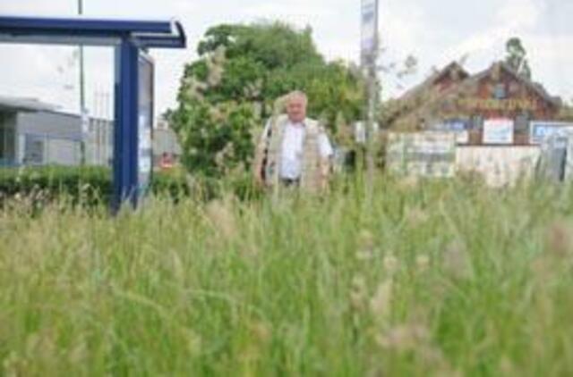 Džiunglių gyventojai klerkams neįdomūs