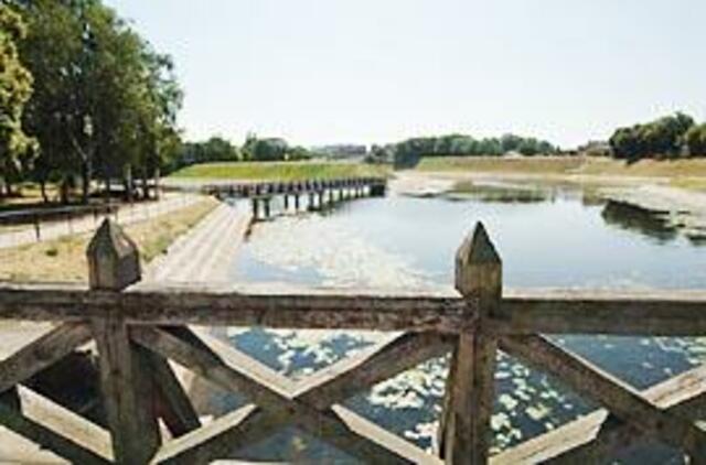 Vargšas Jono kalnelis