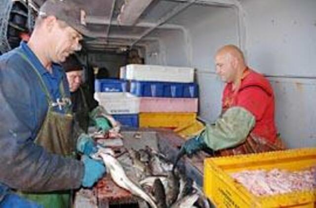 Miesto centre pakvips šviežia žuvimi