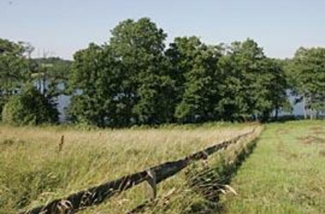 Užsieniečiai paveldėtą žemę privalo parduoti