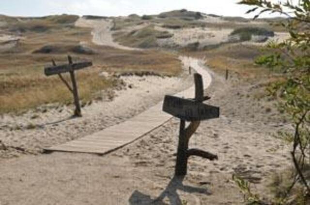 Seimo narė: Neringa - ne kurortas