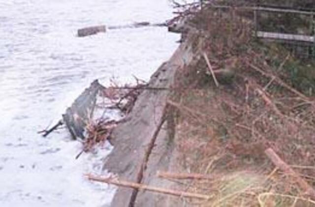 Mokslininkų išvada - prieš vėją nepapūsi