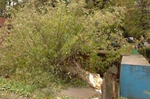 "Leiskite patiems tvarkytis mieste" 