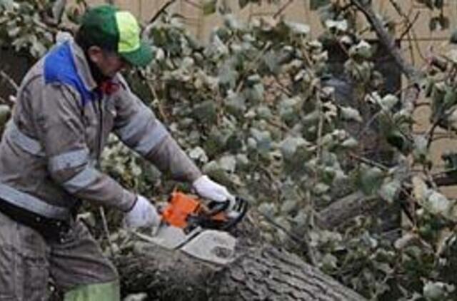 Vėjas "išpūtė" dešimtis tūkstančių litų