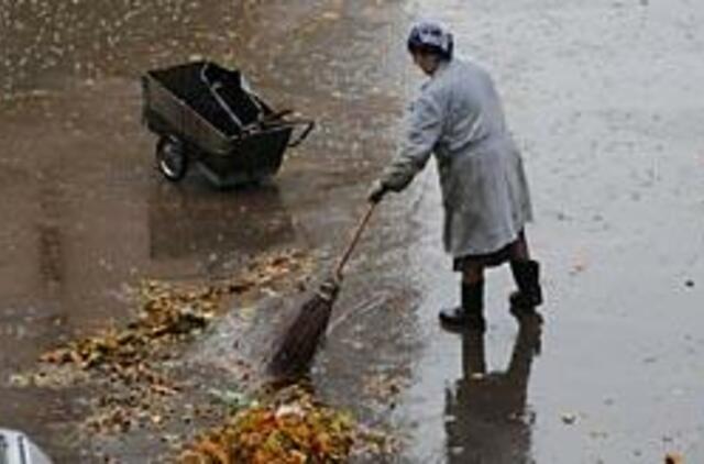 Savivaldybė - lyg kerpama avelė