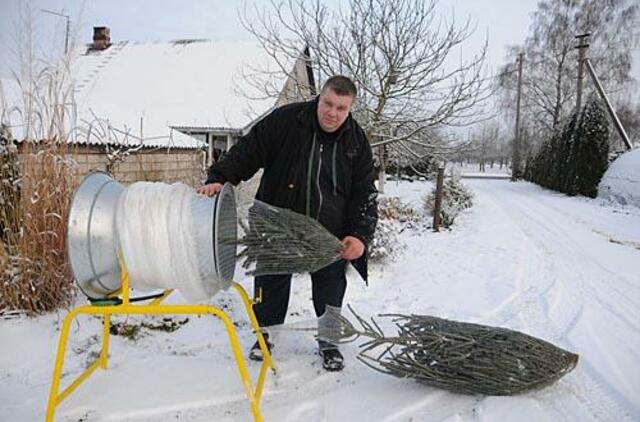 "Žmonės pamiršo, kaip atrodo diemedis"