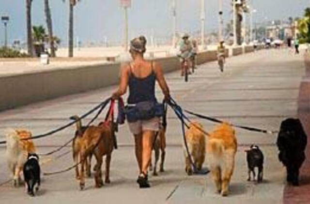 Sveikiau vedžioti šunį nei lankytis sporto salėje