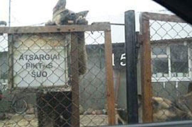 Naujakuriai ir senbuviai gyvenimą kaime mato skirtingai