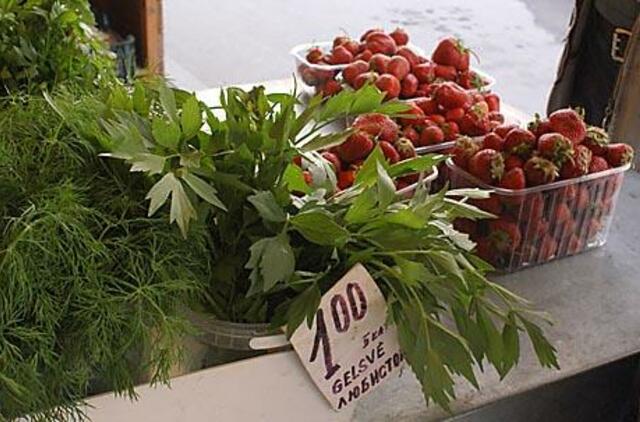 Lietuvoje krapai neauga? 