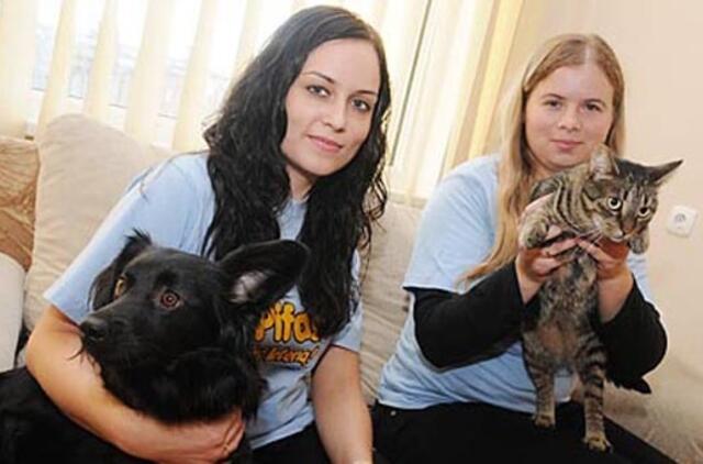 "Pifo" savanorės: "Skriaudžiami gyvūnai turi užtarėjų"