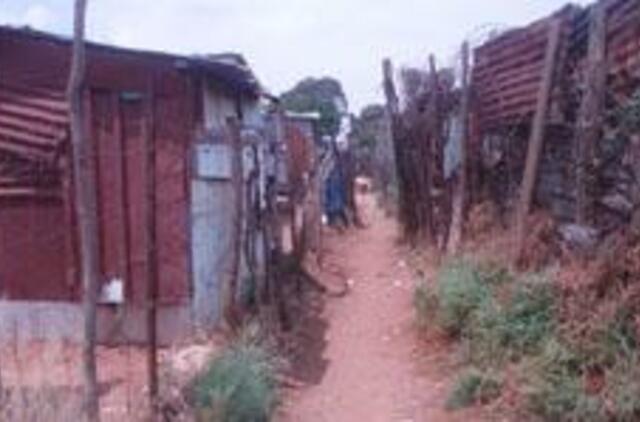 Afrika: didmiesčio džiunglėse