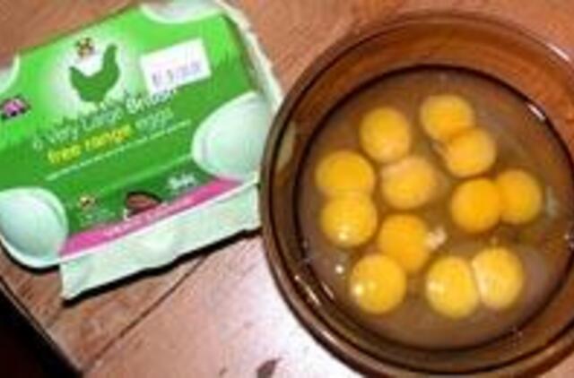 Britę pribloškė neįprasti kiaušiniai