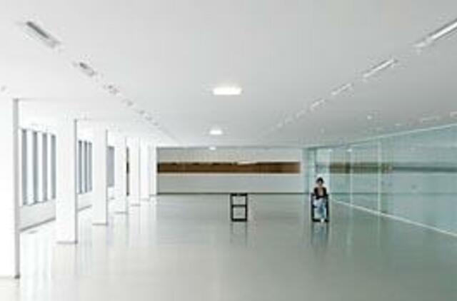 Į meno galeriją - tik per kūrybinę sąjungą, arba už pinigus