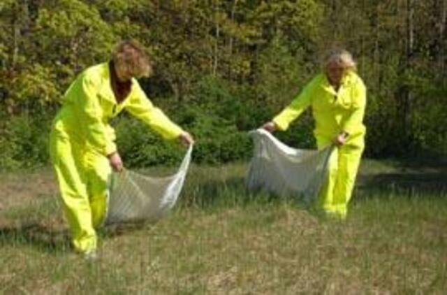 Kaip netapti erkių auka