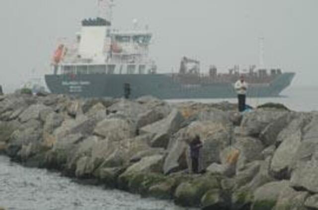 Krovos darbai Kiaulės nugaroje?