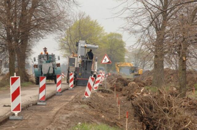 Medžiai neturi augti ant kelio