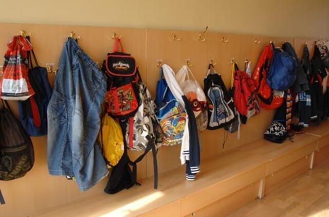 Ministerija: savivaldybėms perduodamų mokyklų finansavimas nebus mažinamas