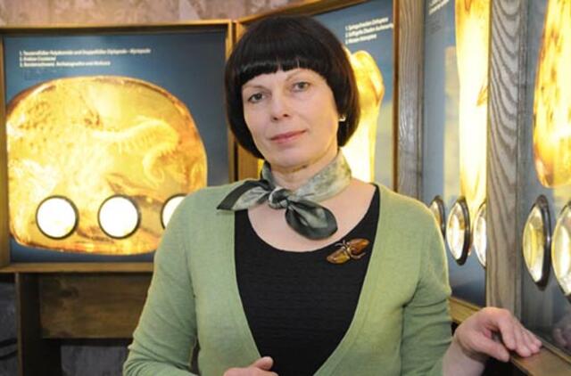 Gintaro inkliuzai - raktas į tolimą praeitį