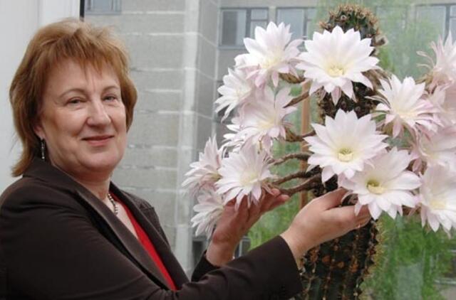 Laivininkų mokykloje pražydo neįtikimas kaktusas