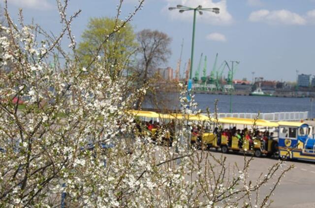 Klaipėdos ketvirtadienis