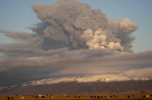 Apsukruoliai internete parduoda Islandijos ugnikalnio pelenus
