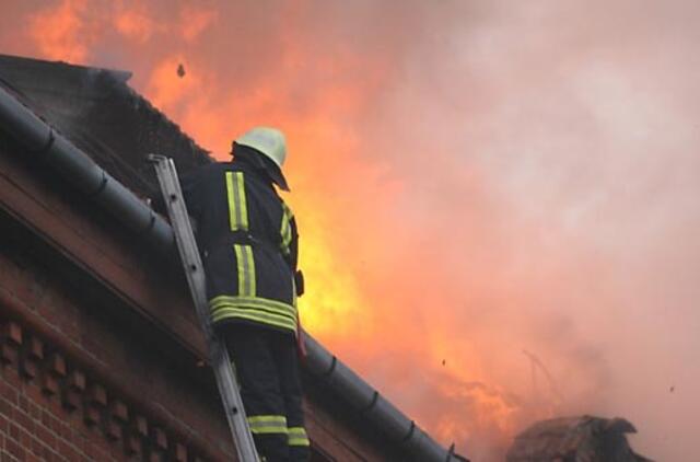 Institucijų reitingus aukštyn traukia ugniagesiai, žemyn - Seimas