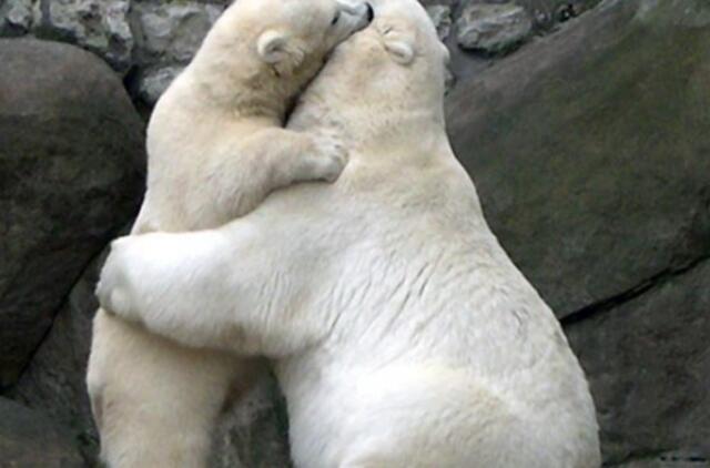 Mamos gailestis - vaiko sveikatos profilaktika