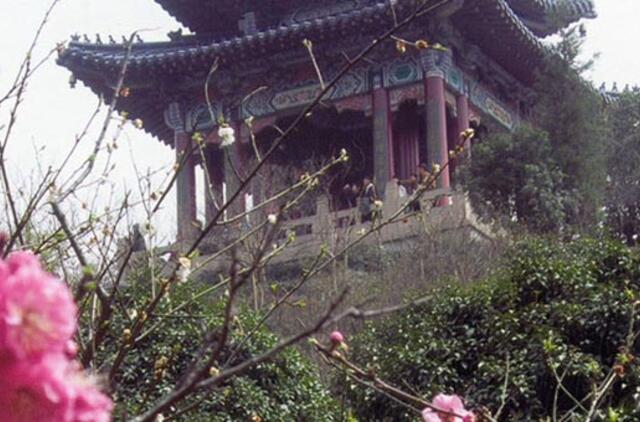 Pavasaris Kinijoje (2)