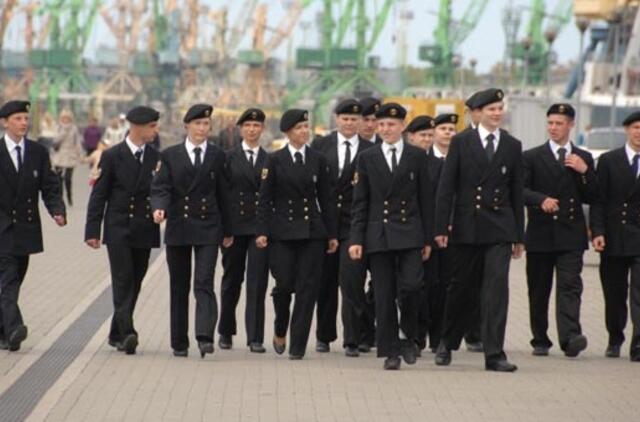 Seimas nustatė principinę kariuomenės struktūrą