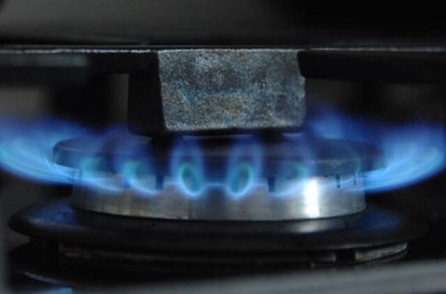 D. Grybauskaitė: konkurenciją Rusijos dujoms sudarys suskystintų dujų terminalas