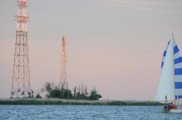 Kiaulės nugara nebebus tik kirų perykla