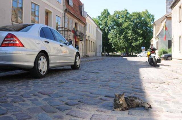 NT lengvatos - tik senamiestį puošiantiems verslininkams