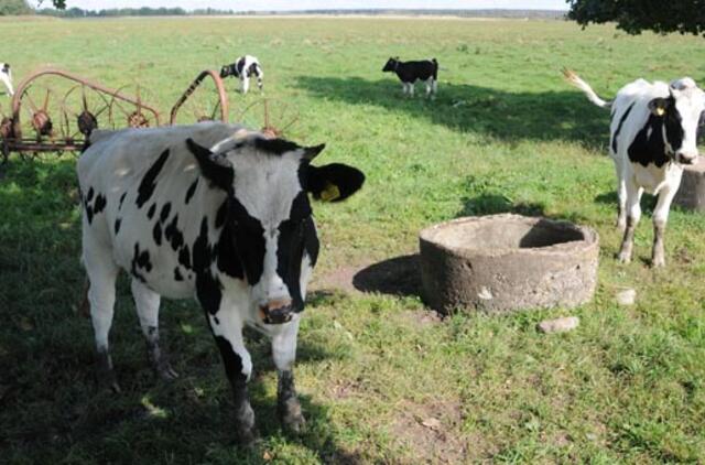 Per karščius reikia rūpintis ir gyvūnais