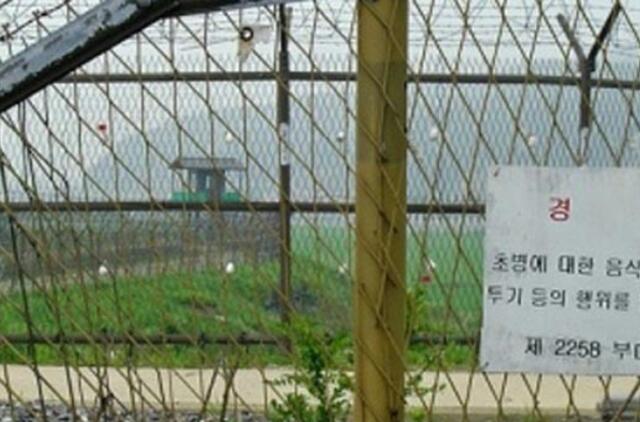 Pietų Korėjos sieną su Šiaurės Korėja saugos robotai