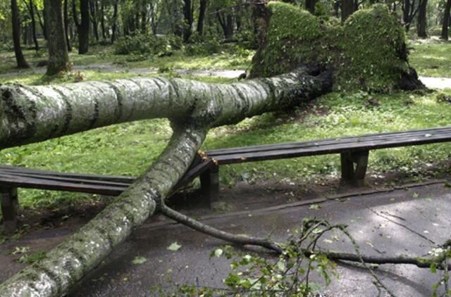 Besimalkaudami kauniečiai persistengė