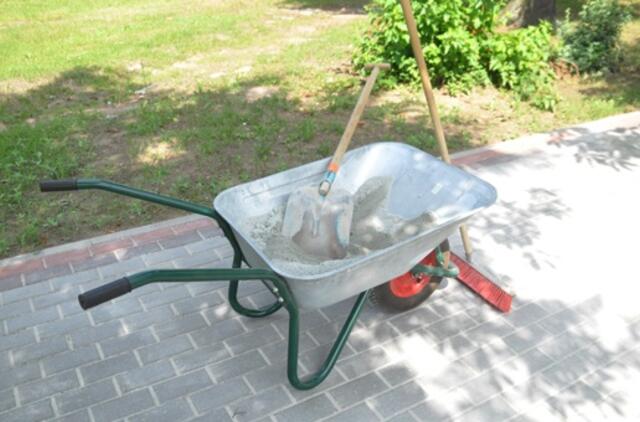 Kritikuojamas valdžios sumanymas steigti valstybės įmonių holdingą